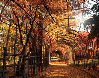 Seoul Children’s Grand park