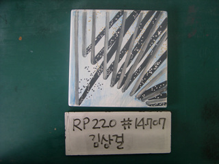 김상걸(RP220) 사진