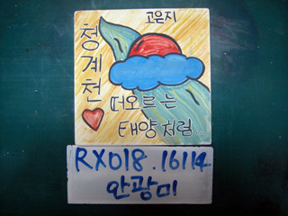 안광미(RX018) 사진