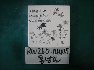 홍성길(RW260) 사진