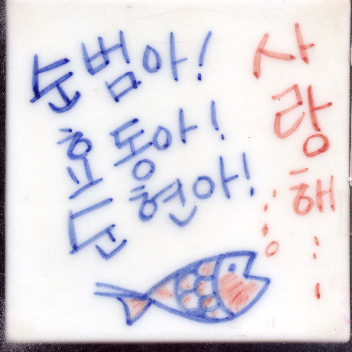 권남혁(RO237) 사진