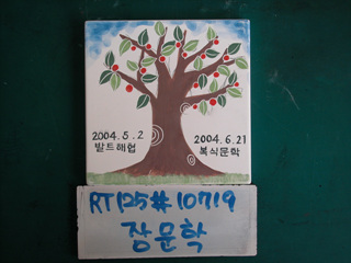 장문학(RT125) 사진