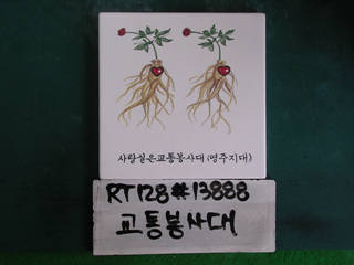 손삼호(교통봉사대)(RT128) 사진