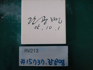 강공명(RV213) 사진