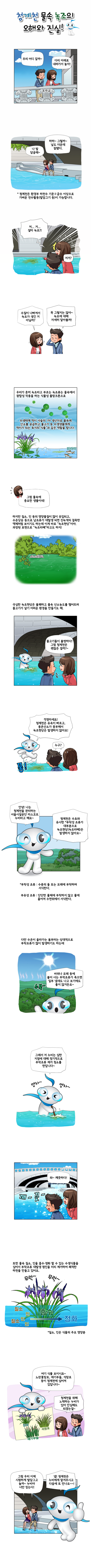 제목:청계천 물속 녹조의 오해와진실 // 우리 어디 갈까~ // 다리 아래로 내려가서 놀자! // 나 발 담글래~ // 하하~ 그럴까~ 날도 더운데 잘됐다. // (청계천은 환경부 하천수 기준 2급수 이상으로 가벼운 친수활동(발담그기 등)이 가능합니다) // 어머! // 왜? 왜그래? //저..거... 설마 녹조?! // 저거? //수질이 나빠져서 녹조가 생긴거 아닐까? // 꼭 그렇지는 않아~ 녹조에 대해 자세히 알아볼까! // 우리가 흔히 녹조라구 부르는 녹조류는 물속에서 광합성 작용을 하는 식물성 플랑크톤으로 (수생태계 먹이사슬의 1차 생산자로 물속에 산소를 공급하고 물고기 등 수생생물에게 먹이가 되는 육지의 '식물'과 같은 역할을 합니다) // 그럼 물속에 중요한 생물이네! // 하지만 질소, 인 등의 영양물질이 많이 유입되고, 수온상승 등으로 남조류가 대발생 되면 진녹색의 걸죽한 액체처럼 보이기도 하는데 이게 바로 '녹조현상' 이야 과장된 표현으로 '녹조라떼' 라고도 하지! // 극심한 녹조 현상은 불쾌하고 물속 산소농도를 떨어뜨려 물고기가 살기 어려운 환경을 만들기도 해 // 물고기들이 불쌍하다! 그럼 청계천은 괜찮은 걸까?~ //  걱정마세요! 청계천은 유속이 빠르고, 용존산소가 풍부해서 녹조현상은 발생하지 않아요! // 누구? // 안녕! 나는 청계천을 관리하는 서울시설공단 마스코트 누비라고 해요~ // 청계천은 수초와 유사한 부착성 조류가 대부분으로 녹조현상(녹조라뗴)은 발생하지 않아요~ // (부착성 조류 : 수중의 돌 또는 모래에 부착하여 서식한다. 부유성 조류 : 단단한 물체에 부착하지 않고 물에 흩어져 수면위에서 서식한다.) // (다만 수온이 올라가는 봄부터는 상대적으로 부착조류가 많이 발생하기도 하는데) // 바위나 모래등에 붙어 사는 부착조류가 죽으면 일부 냄새도 나고 보기에도 좋지 않거든요~ //  그래서 저 누비는 심한 지점에 대해 정기적으로 부착조류 제거 청소를 한답니다~ // 와~ 깨끗하다~ //  또한 물속 질소, 인을 흡수,정화, 할 수 있는 수생식물을 심어서 부착조류 대발생 원인을 미리 제거하여 쾌적한 하천을 만들고 있어요. // (질소,인은 식물의 주요 영양분)  // 여기 식물 보이시죠~ 노란꽃창포, 애기부들, 석창포등이 청계천에 심어져 있답니다.~ // 청계천을 위해 노력하는 누비가 있어 안심해도 되겠는걸~ //  그럼 우리 이제 시원하게 발담그고 놀까~ 누비야 너만 믿는다! // 넵! 청계천은 누비에게 맡겨주시고 다음에 또 만나요~~!