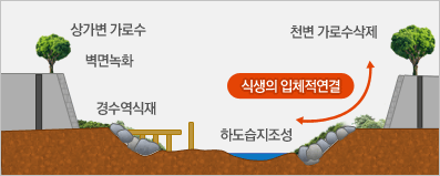 상가변가로수, 벽면녹화, 강수역식재, 하도습지조성 - 식생의 입체적연결 - 천변가로수삭제로 이루어져있습니다.